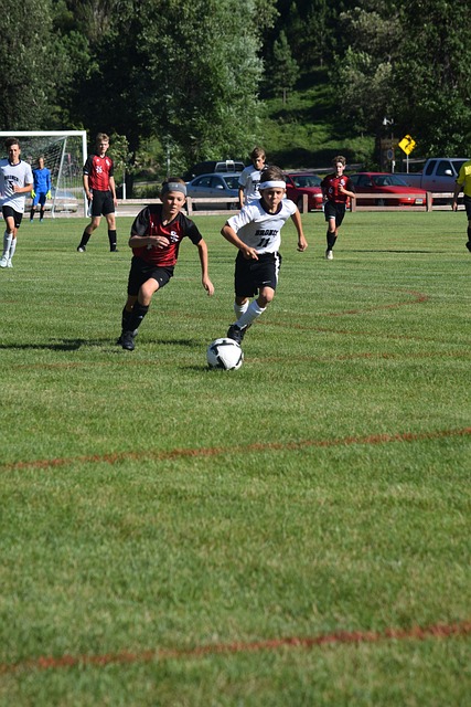 可以看到门 可以看到门