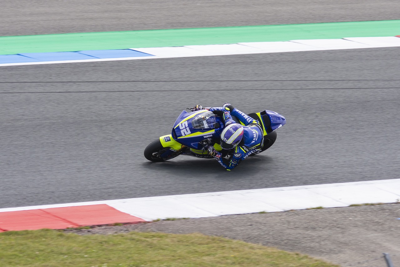 帶領球隊迎 帶領球隊迎