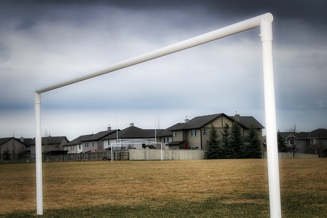 屡见不鲜 屡见不鲜