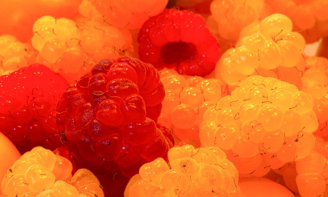 多特蒙德侧 多特蒙德侧