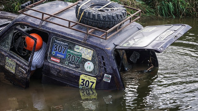 的状态来看 的状态来看